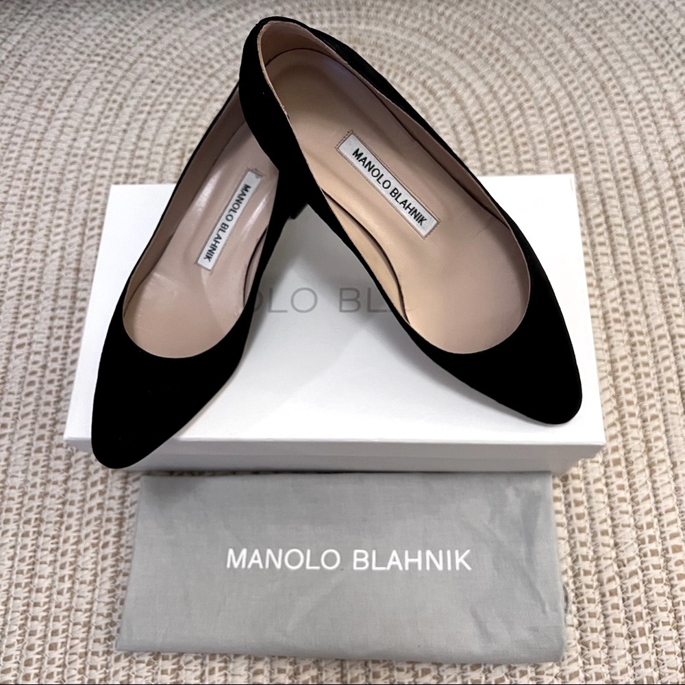 Manolo Blahnik Listony Suede Low-Heel Pumps